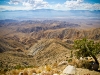 joshua_tree_10-2010-3