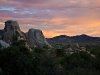 joshua_tree_10-2010-4