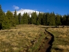 Mt-Elbert-06-2011-005