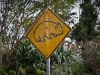 Sydney-2009-9